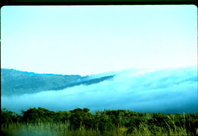 photography, California, Suzin Daly